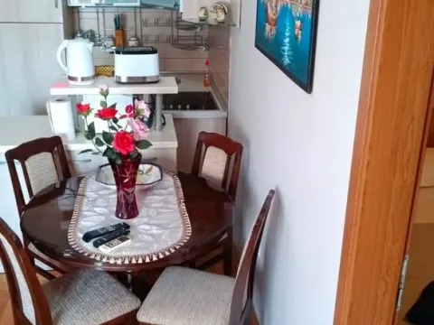 Prodaja, jednosoban stan, 40m², Tuški Put, Podgorica - image 6