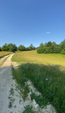 Seoski put koji vodi kroz zelenu livadu i šumarak. - image 4