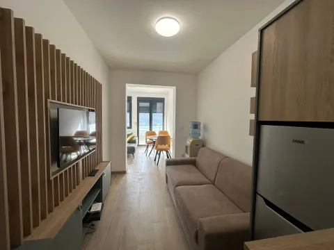 Dnevna soba sa kaučem, TV-om na drvenoj zidnoj oblozi i prolazom prema terasi. - image 2