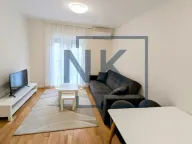 Izdavanje, jednosoban stan, 40m², Tuški Put, Podgorica - image 1