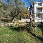 Prodaja, plac, 322m², Budva, Crna Gora - image 4