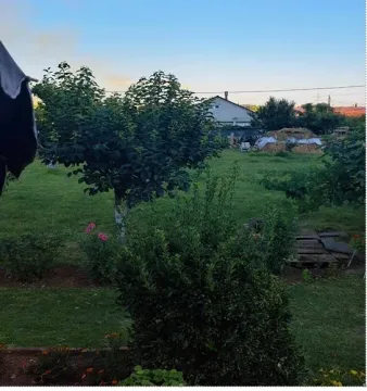 Zeleno dvorište sa drvećem iza kuće. - image 5