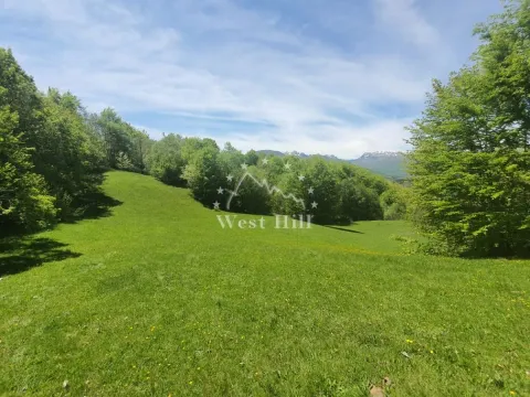 Prodaja, plac, 32000m², Kolašin, Crna Gora - image 5