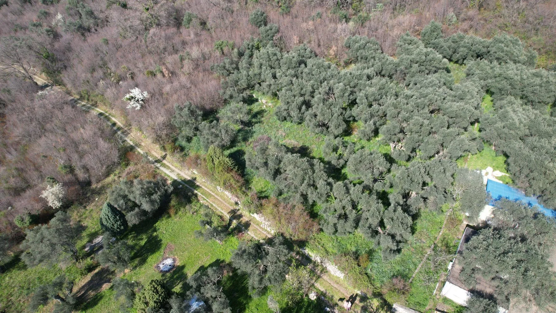 Prodaja, plac, 15810m², Buljarica, Budva