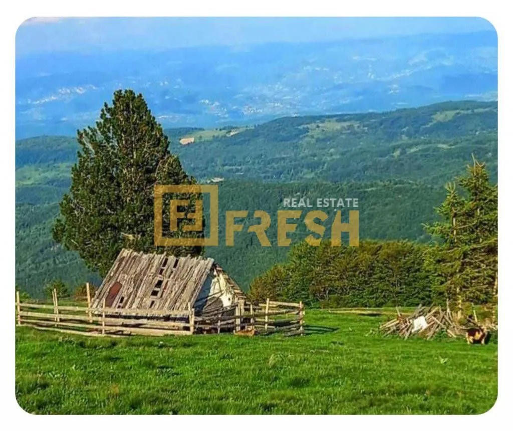 Prodaja, plac, 6000m², Berane, Crna Gora