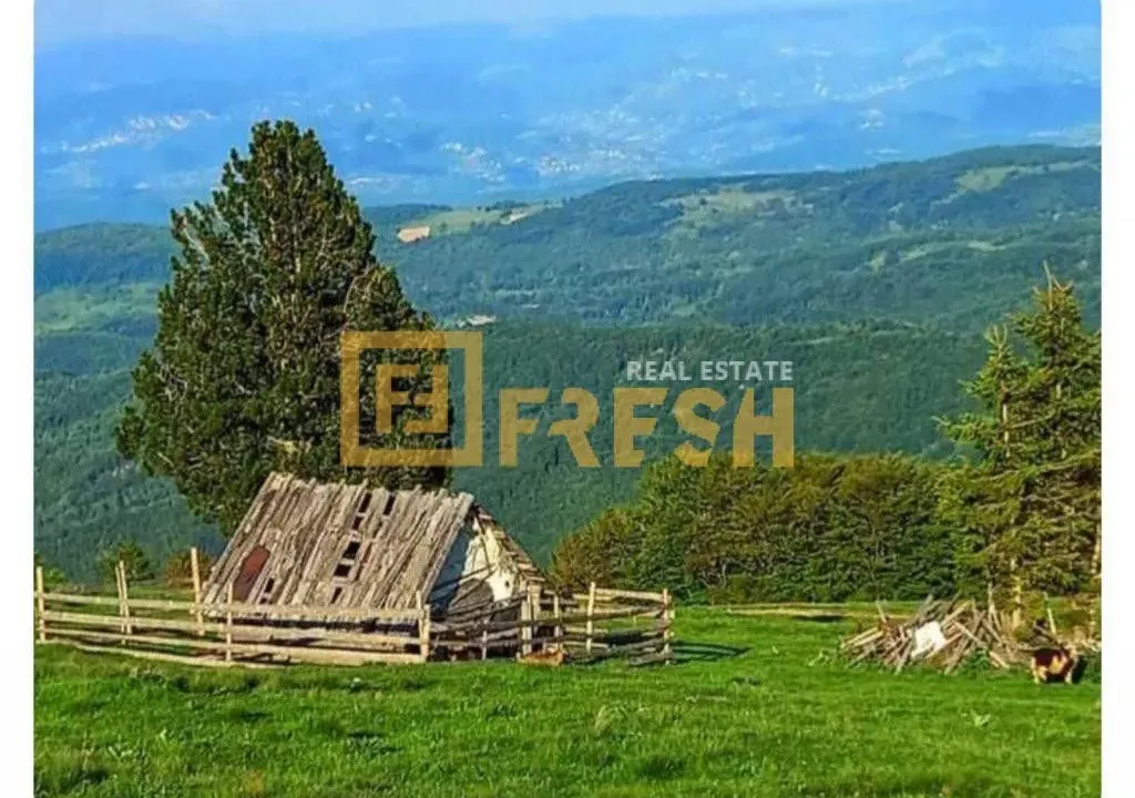 Prodaja, plac, 6000m², Berane, Crna Gora