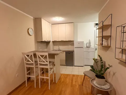 Rent, one bedroom apartment, 33m², Zabjelo, Podgorica - image 4