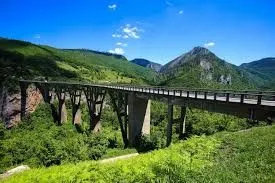 Prodaja, plac, 16000m², Pljevlja, Crna Gora - image 2