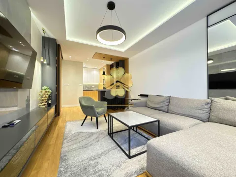 Izdavanje, jednosoban stan, 50m², Central Point, Podgorica - image 3