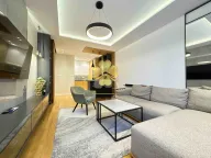 Izdavanje, jednosoban stan, 50m², Central Point, Podgorica - image 3