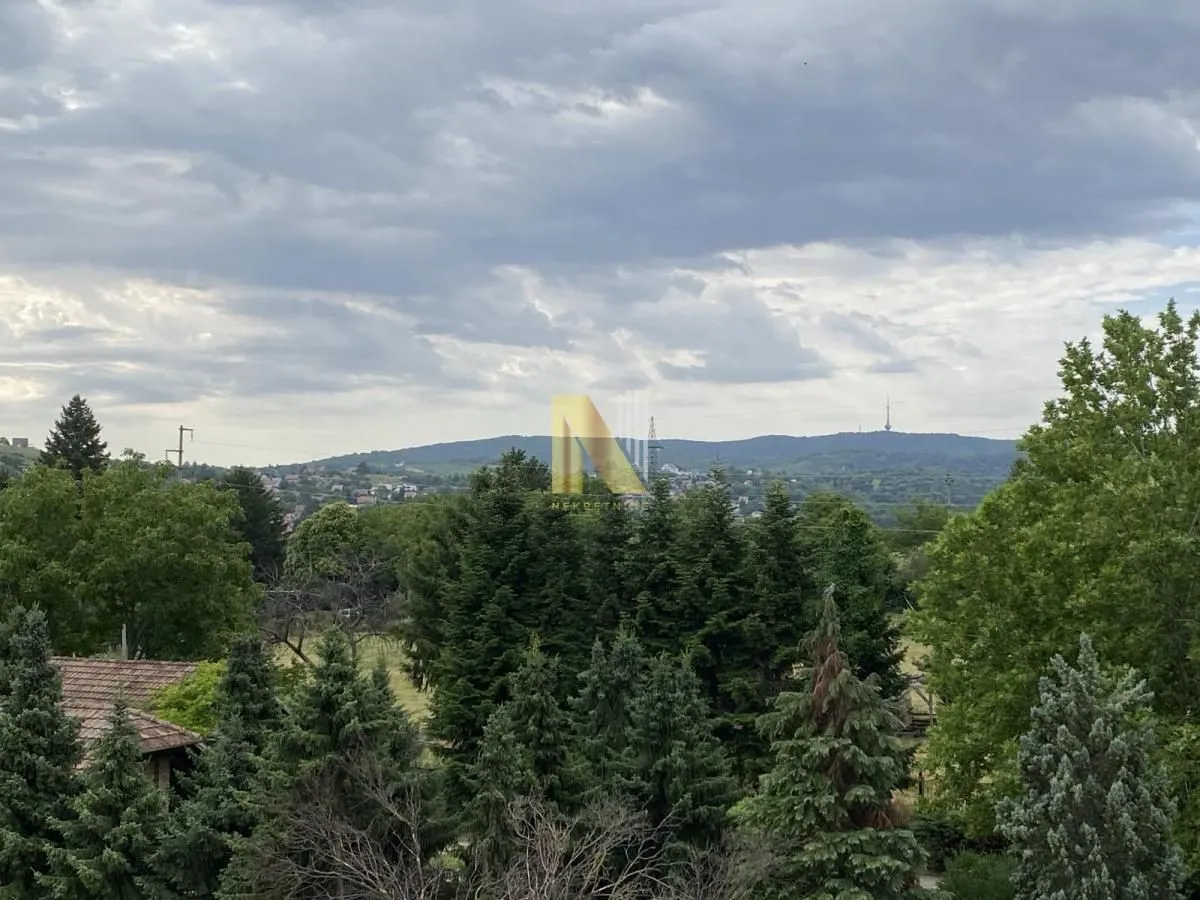 Prodaja, kuća, 181m², Sremska Kamenica, Petrovaradin