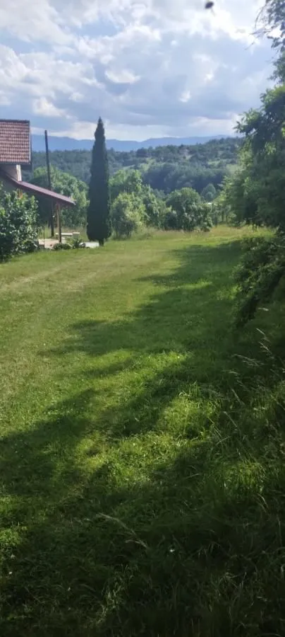 Green yard with a view of nature and surrounding mountains.