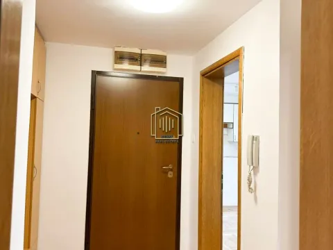 Izdavanje, jednosoban stan, 47m², Zabjelo, Podgorica - image 9