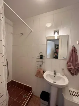 Manje kupatilo sa umivaonikom i tuš kabinom. - image 9