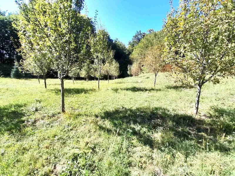 Prodaja, plac, 17300m², Crkvine, Kolašin