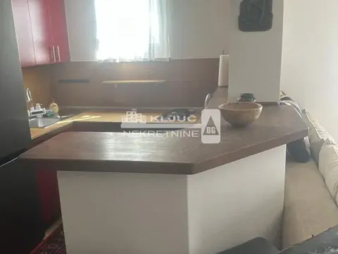 Izdavanje, dvosoban stan, 41m², Vračar Hram, Vračar Sve Podlokacije - image 9