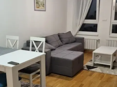 Rent, two bedroom apartment, 43m², Vračar Sve Podlokacije, Beograd