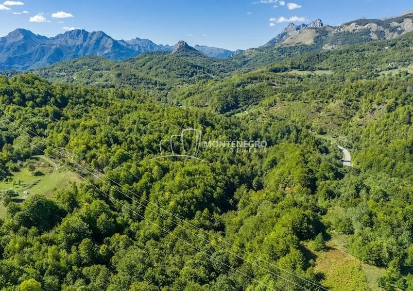 Sale, land lot, 140000m², Crkvine, Kolašin