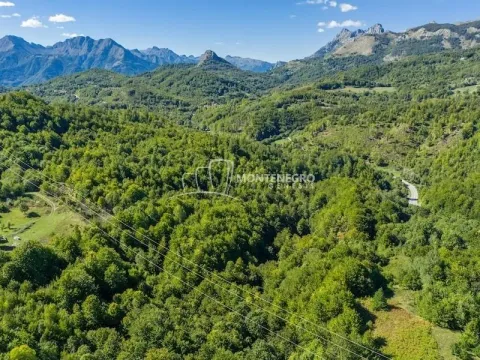 Prodaja, plac, 140000m², Crkvine, Kolašin - image 4