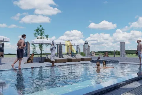 Prodaja, plac, 800m², Tatarsko brdo, Petrovaradin - image 8
