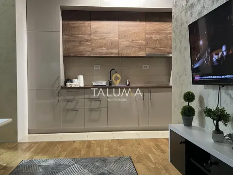 Izdavanje, jednosoban stan, 54m², Centar, Podgorica - image 3