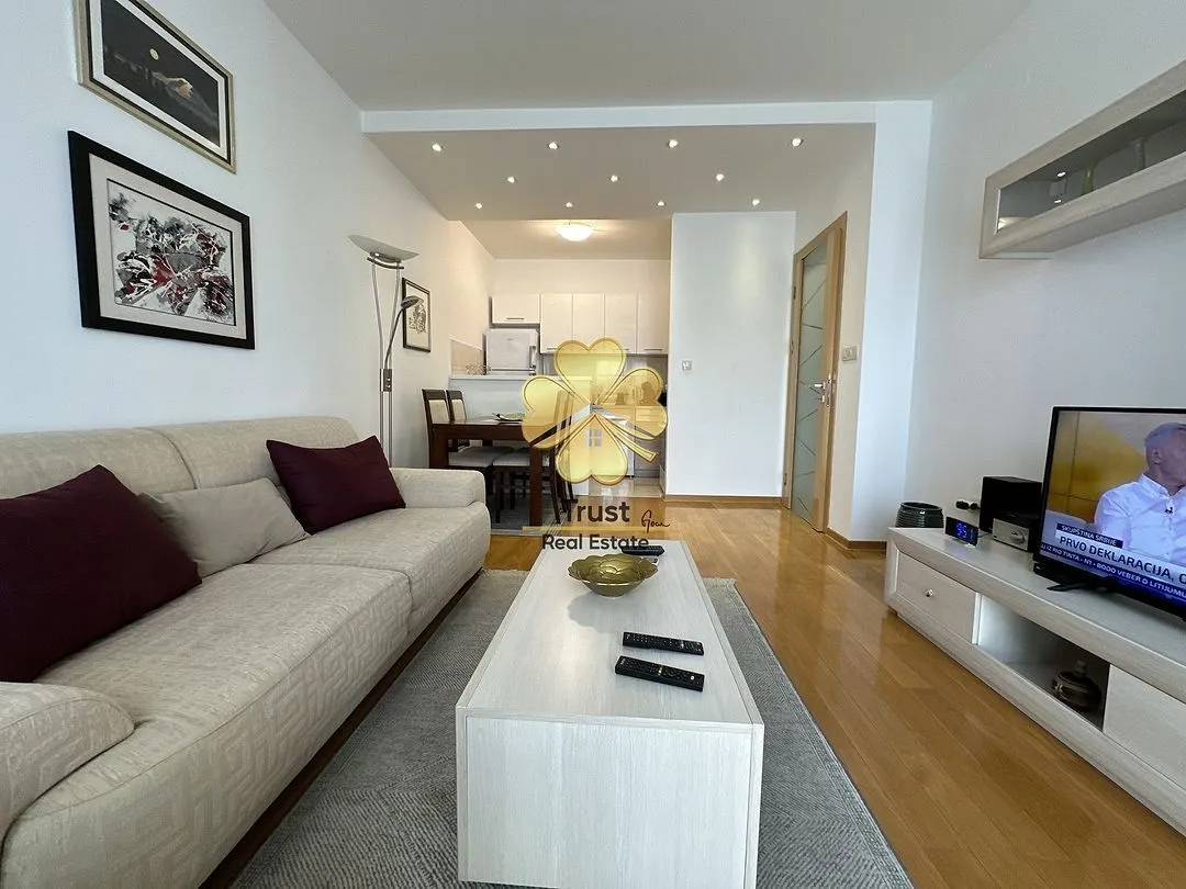 Rent, one bedroom apartment, 50m², Momišići, Podgorica