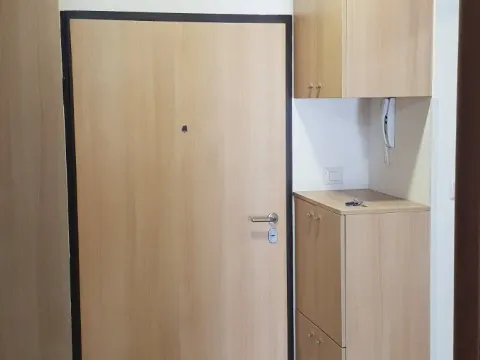 Izdavanje, jednosoban stan, 54m², Stara Varoš, Podgorica - image 10