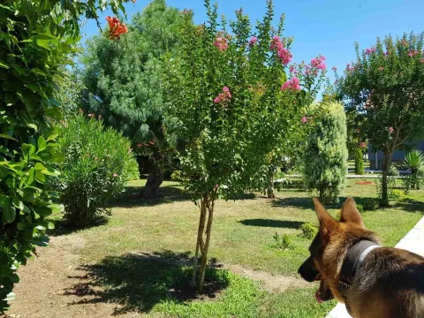 Prodaja, kuća, 149m², Podgorica, Crna Gora - image 8