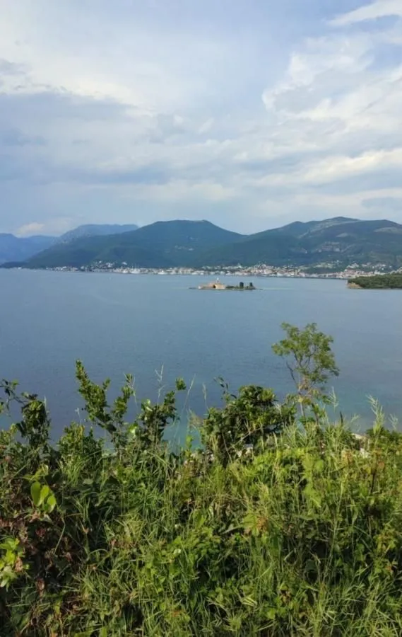 Pogled na more i okolno zelenilo.