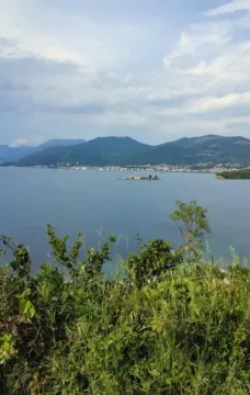 Pogled na more i okolno zelenilo. - image 6
