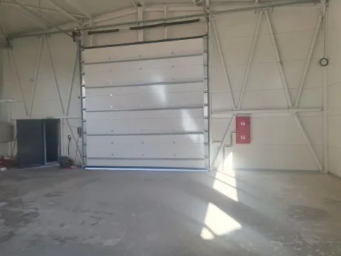 Izdavanje, poslovni prostor, 580m², Zemun Sve Podlokacije, Beograd - image 5