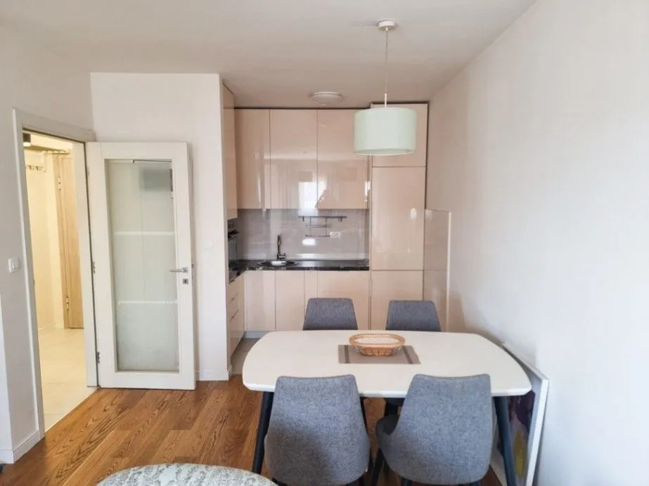 Izdavanje, jednosoban stan, 50m², Central Point, Podgorica