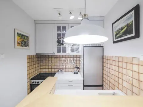 Izdavanje, dvosoban stan, 47m², Neimar, Vračar Sve Podlokacije - image 11