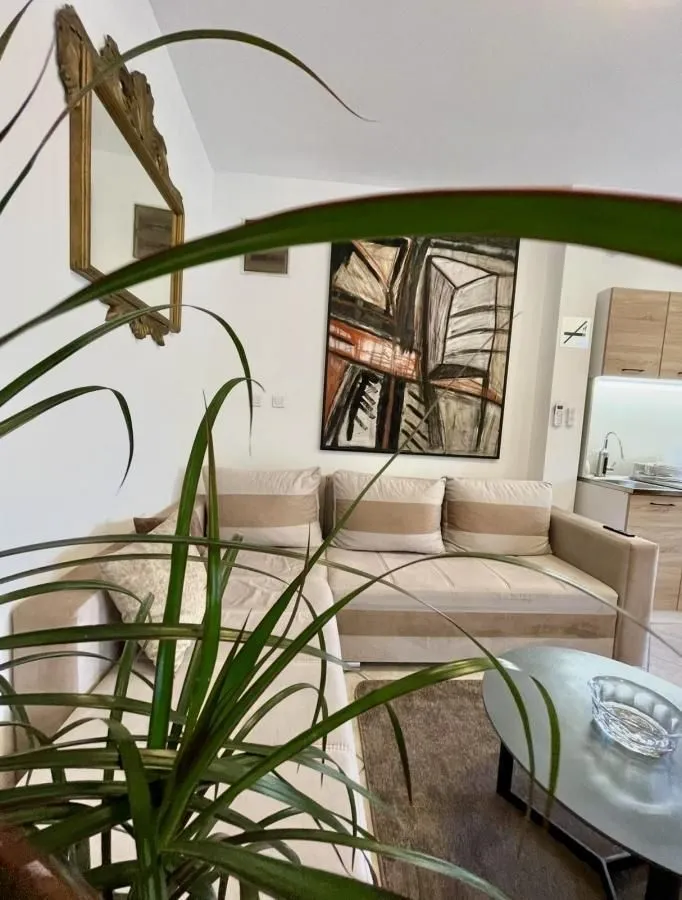 Izdavanje, stan, 35m², Stara Varoš, Podgorica