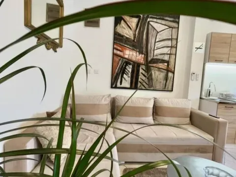 Izdavanje, stan, 35m², Stara Varoš, Podgorica - image 8