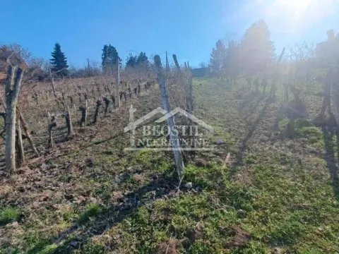 Prodaja, plac, 2000m², Brestovik, Grocka - image 8