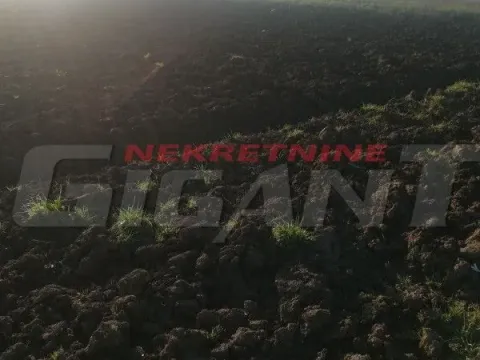 Prodaja, plac, Dobanovci, Surčin - image 2