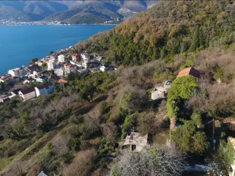 Prodaja, plac, 2200m², Tivat, Crna Gora - image 3