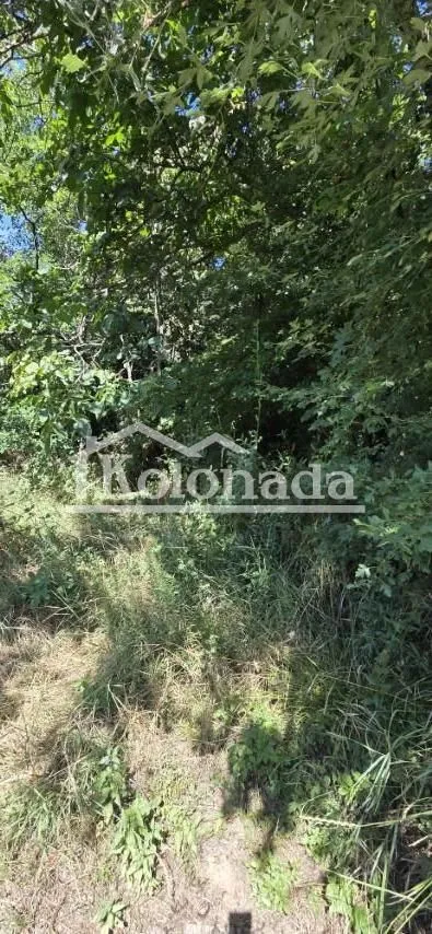 Prodaja, plac, 2300m², Parcani, Sopot