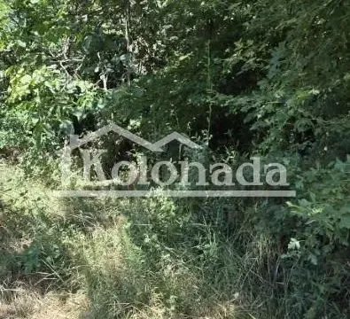 Prodaja, plac, 2300m², Parcani, Sopot - image 5