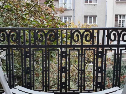 Izdavanje, dvosoban stan, 51m², Vračar Sve Podlokacije, Beograd - image 4