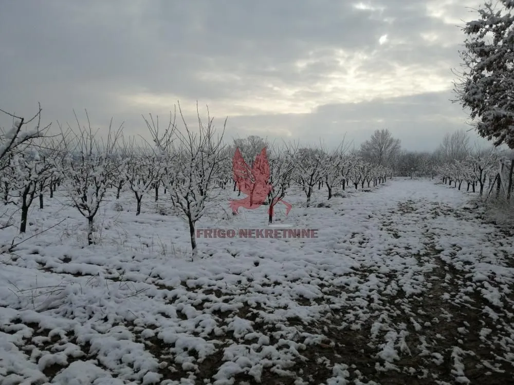 Prodaja, plac, 13700m², Koraćica, Mladenovac