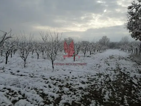 Prodaja, plac, 13700m², Koraćica, Mladenovac - image 8