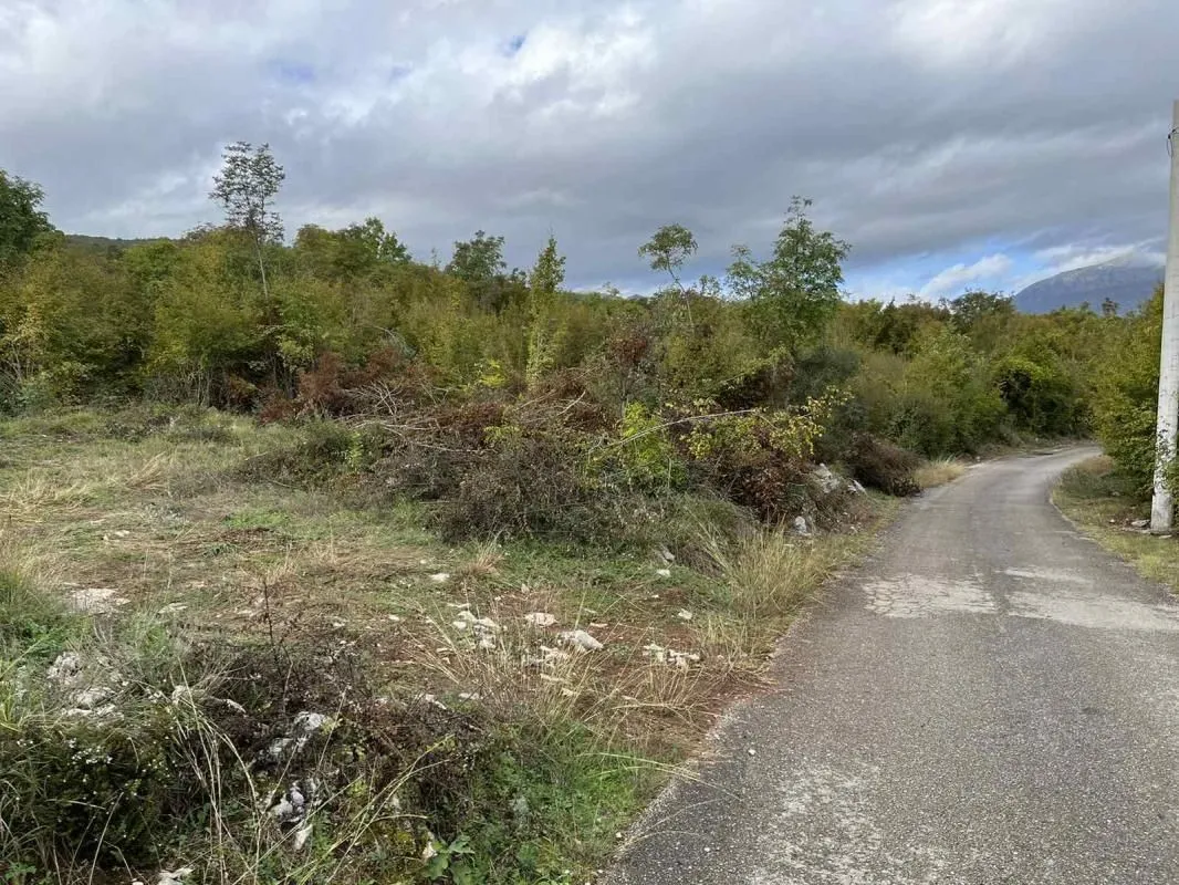 Prodaja, plac, 19808m², Danilovgrad, Crna Gora