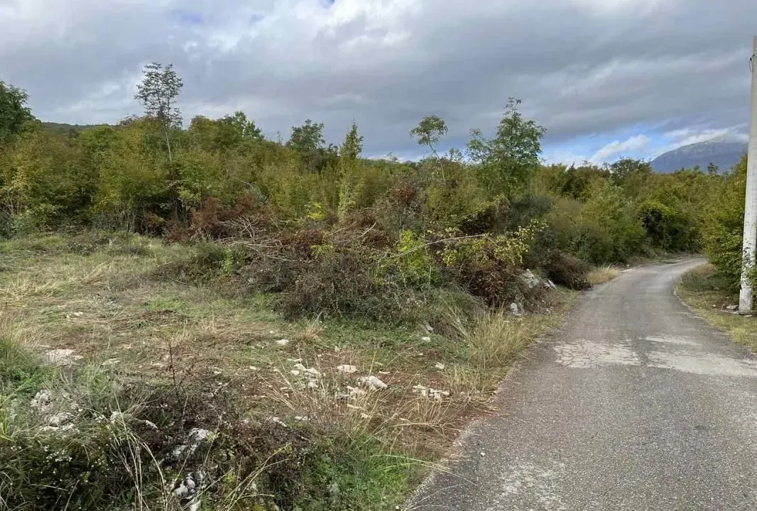 Sale, land lot, 19808m², Danilovgrad, Crna Gora