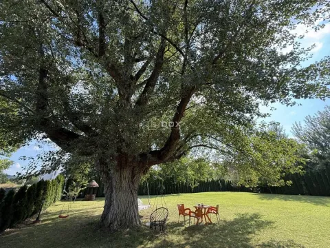Sale, house, 180m², Donja Vrežina, Niš - image 8