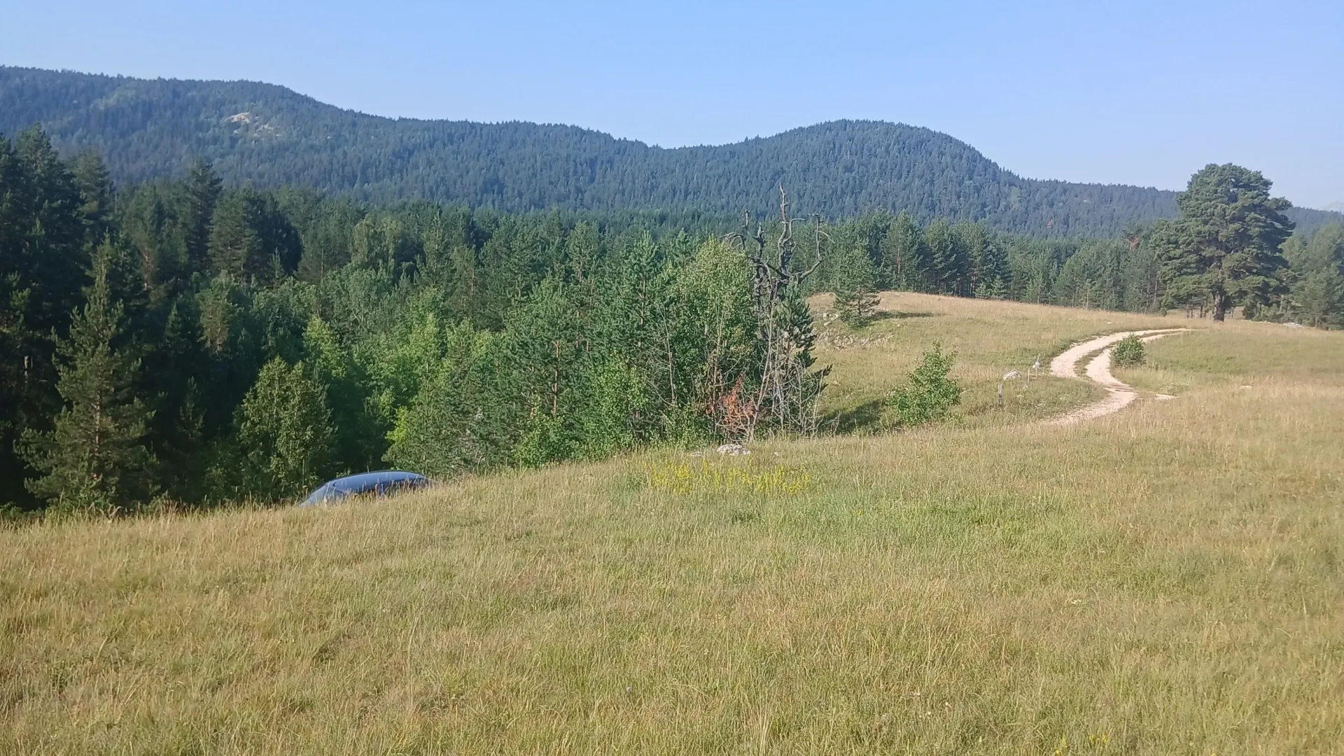 Sale, land lot, 3000m², Borje, Žabljak