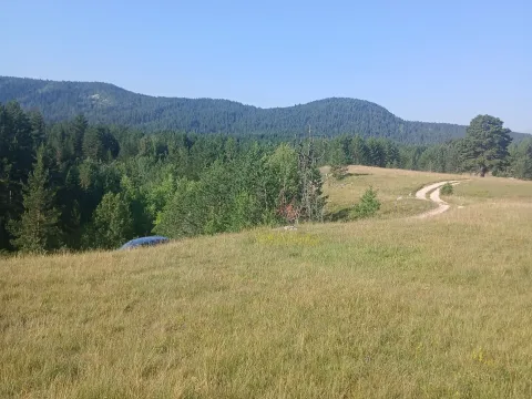 Sale, land lot, 3000m², Borje, Žabljak - image 2