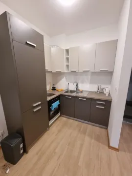 Manja opremljena kuhinja sa tamnim donjim i svijetlim gornjim elementima. - image 6