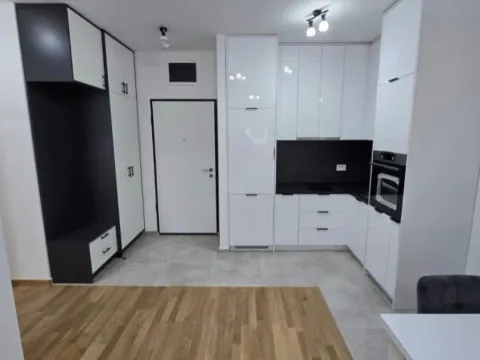 Izdavanje, jednosoban stan, 46m², Stari Aerodrom, Podgorica - image 2